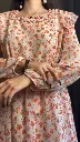 Chiffon Printed Frock